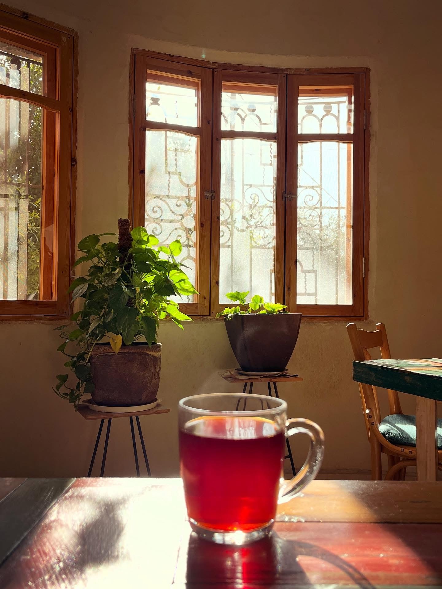 A glass cup of deep-red tea glowing in the sunlight on a painted wooden table, with potted plants and arched windows behind